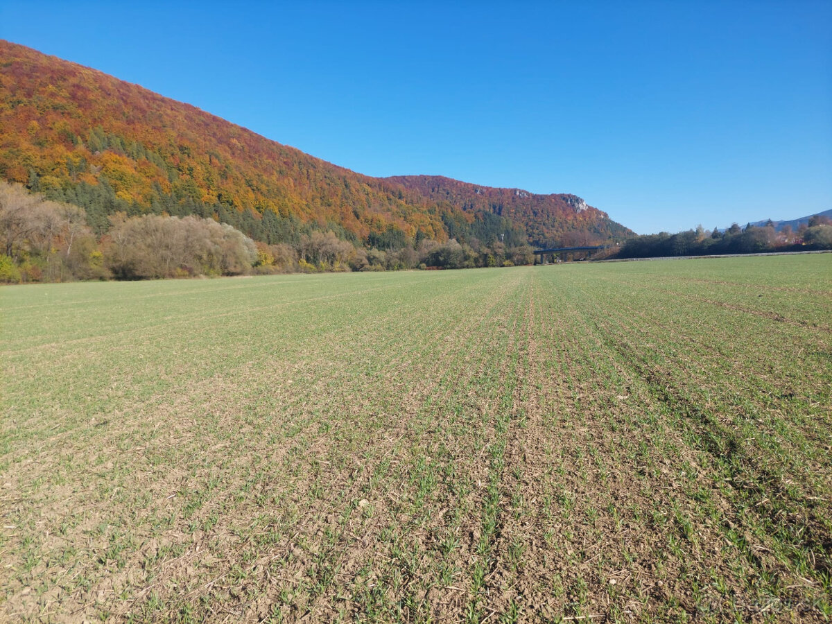 PREDAJ POZEMKU RAJECkĚ TEPLICE 1467 M2 - 6