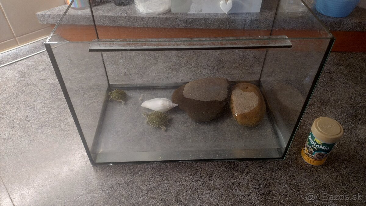 Vodné korytnačky - 6