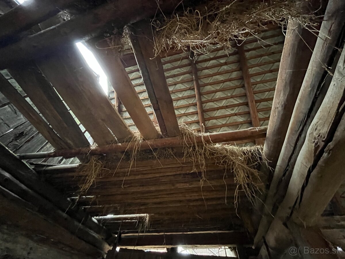 Stare drevo na predaj - 6