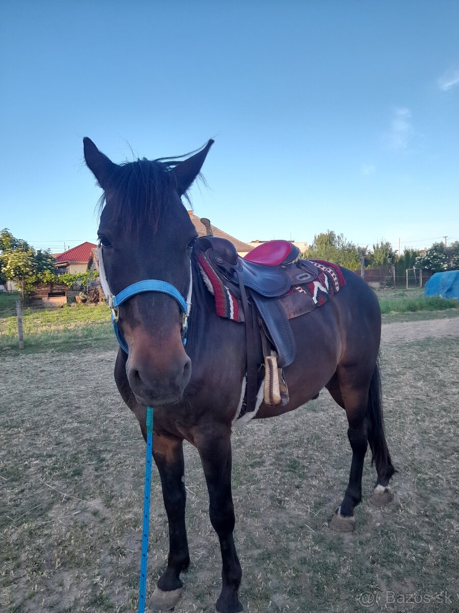 Na predaj valach 10r - 6