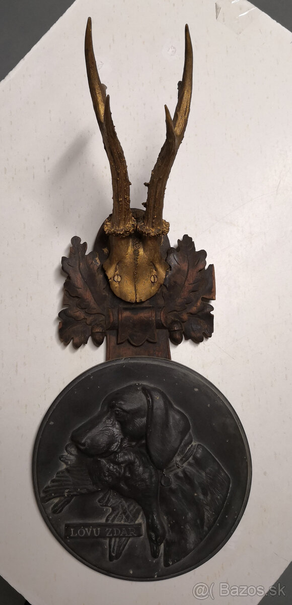 Trofej lovu zdar HOLBA 75 Vyžla - 6