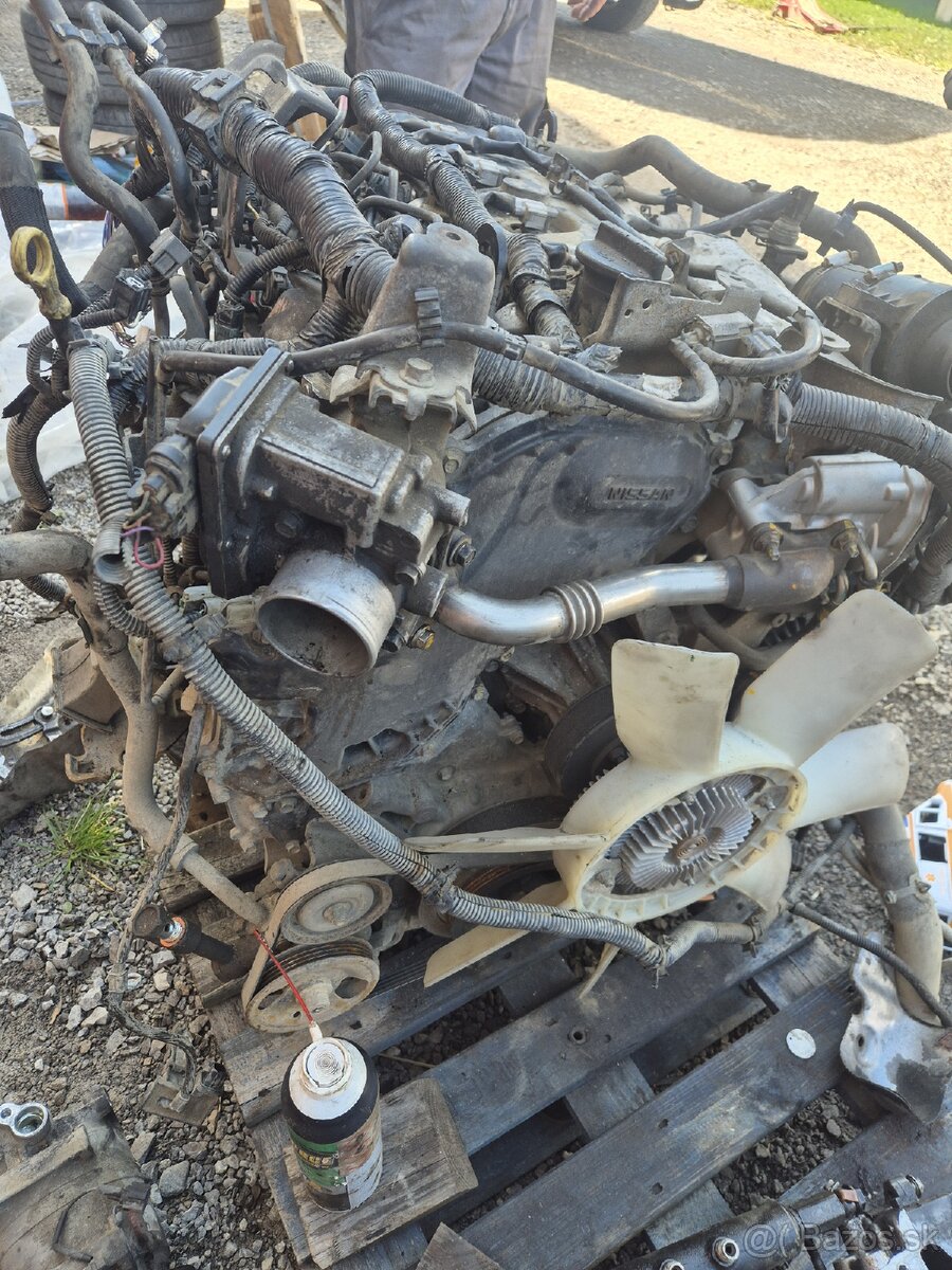 Nissan YD25 2.5 dCi / 2.5 TDI Pathfinder Navara - 6