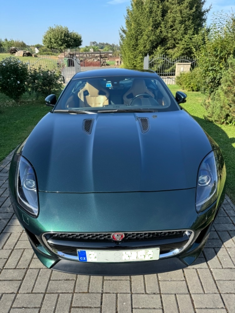Jaguar F-Type 3,0 V6 S Britisch Racing Green - 6