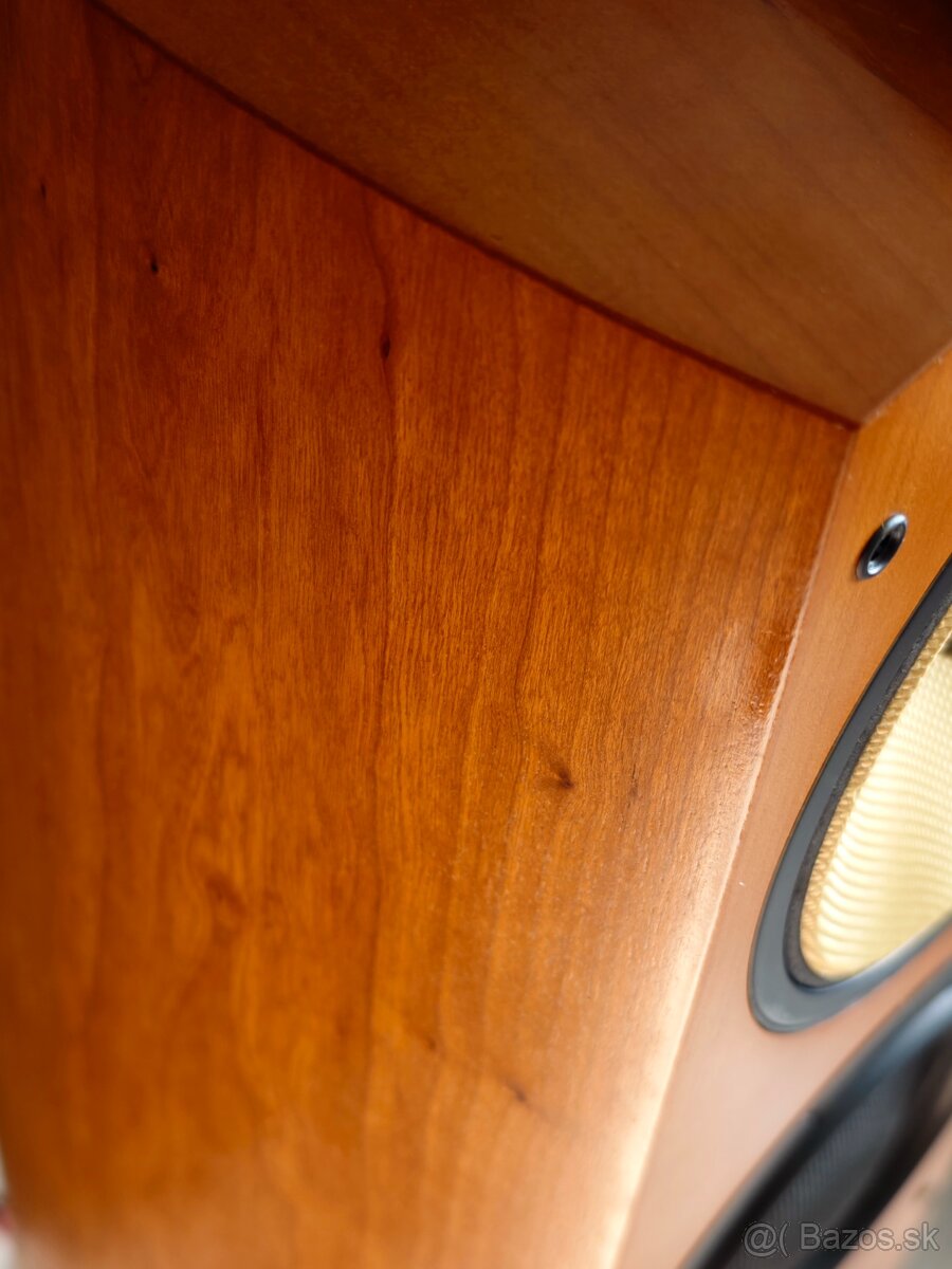 Bowers & Wilkins 804 S Nautilus - 6