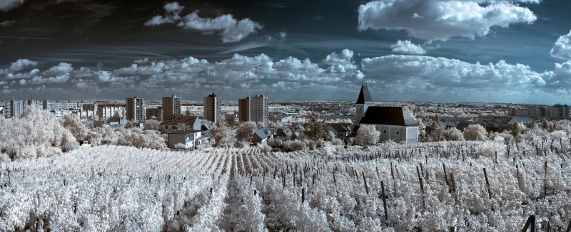Olympus E-M1 - po IR konverzii 720 nm - 6