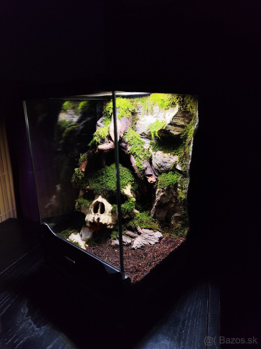 Terarium Exo terra - 6