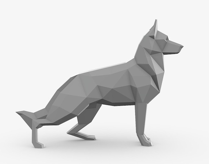 Doberman - 6