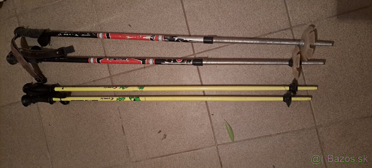 Lyže a lyžiarky - 6