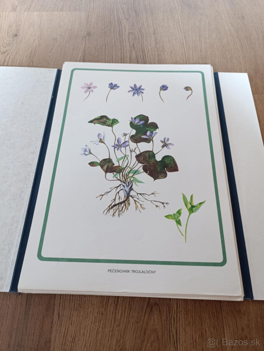 Staré školské pomôcky - 6