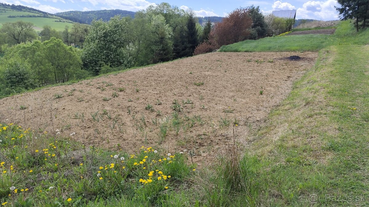 Zahradka 502 m2 - Spišská Belá - 6