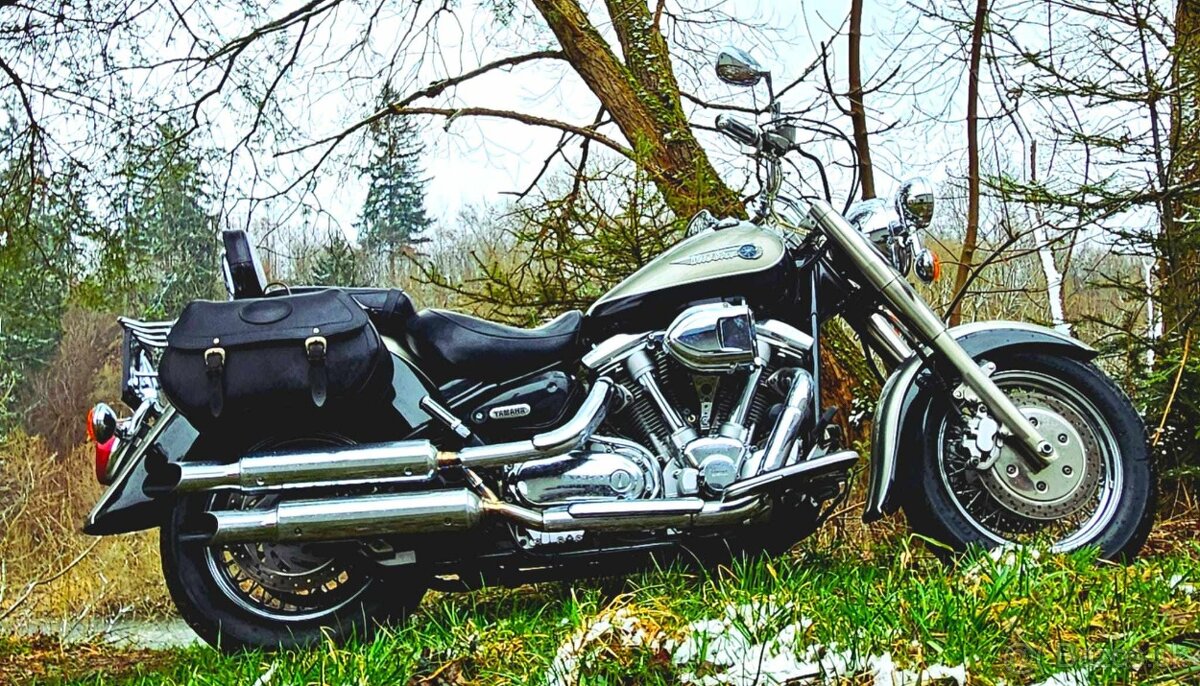 YAMAHA XV 1600 WILD STAR - 6