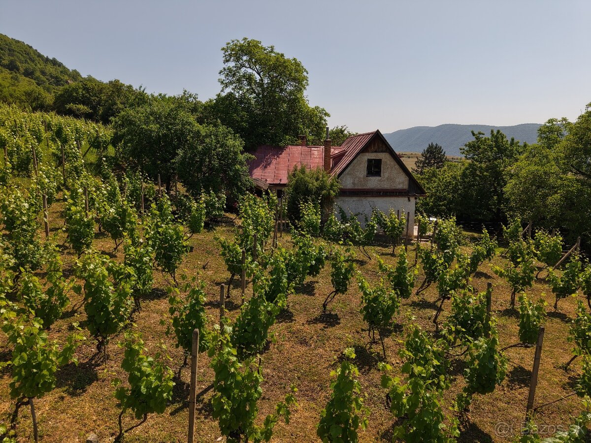 Rozsiahly pozemok s chatou v obci Hrušov - 6