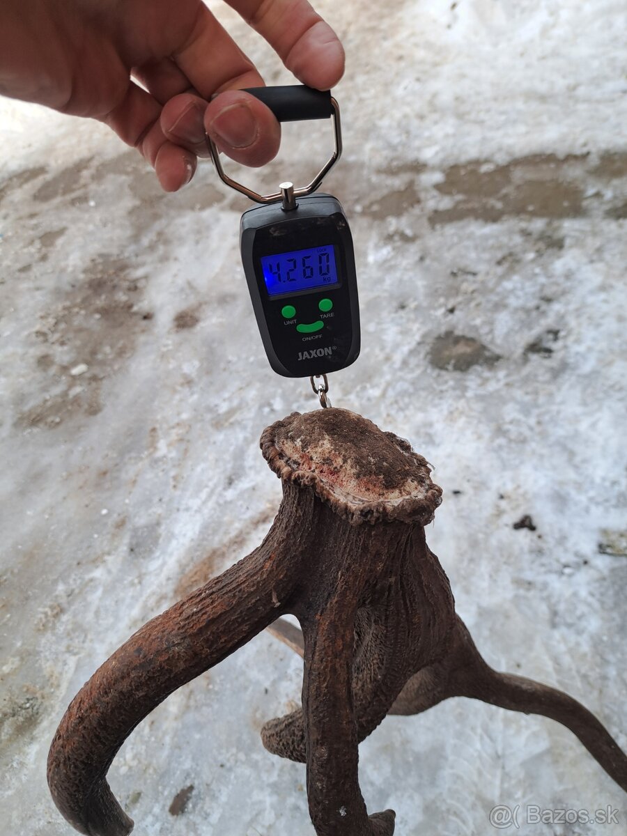 Parohy, parozie, jelen - 6