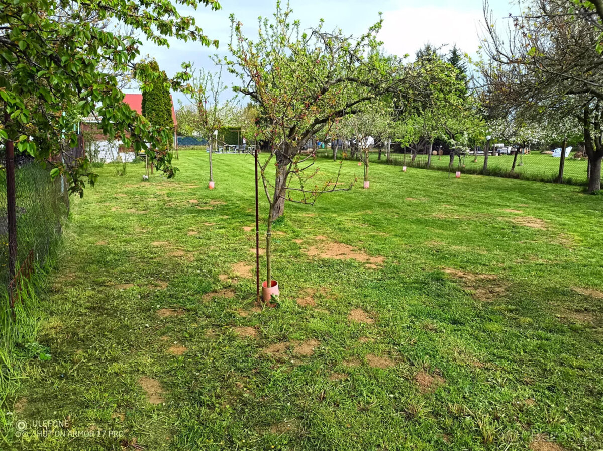 zahrada na prenajom - 6