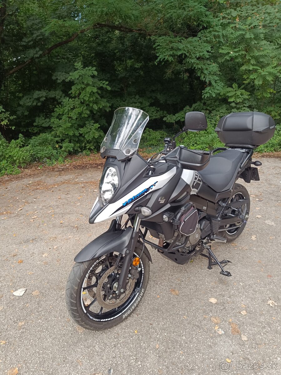 Suzuki v strom - 6