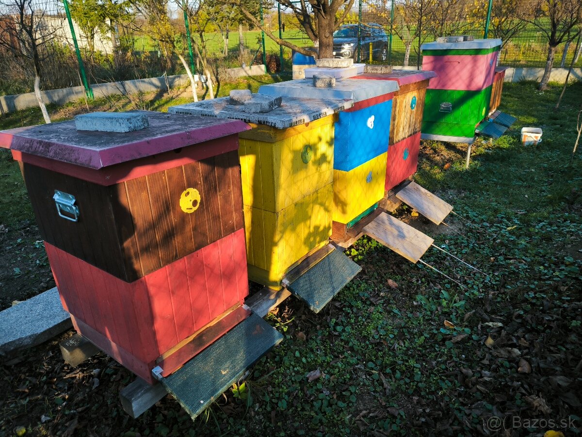 Včelstvo, včely, kompletné príslušenstvo včelára - 6