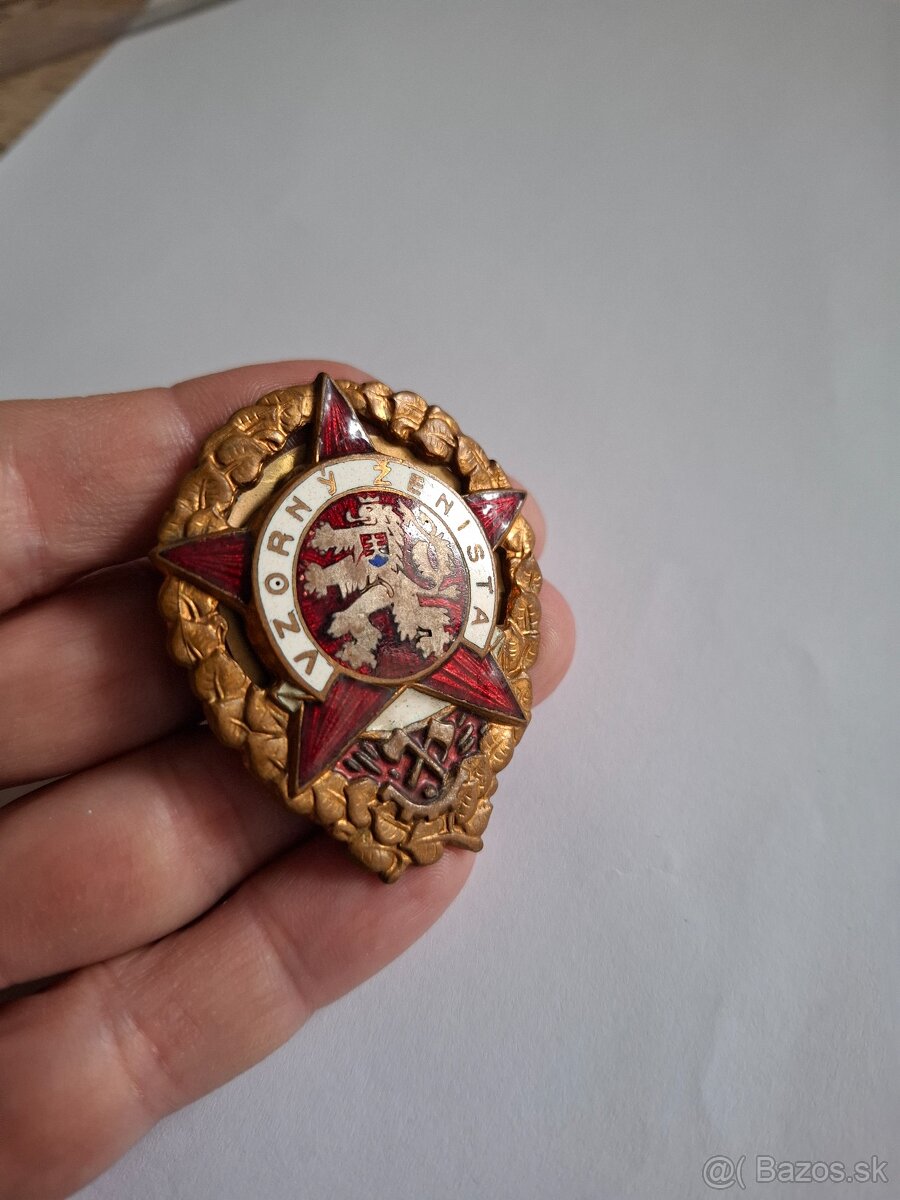 Odznak Vzorný ženista - 6