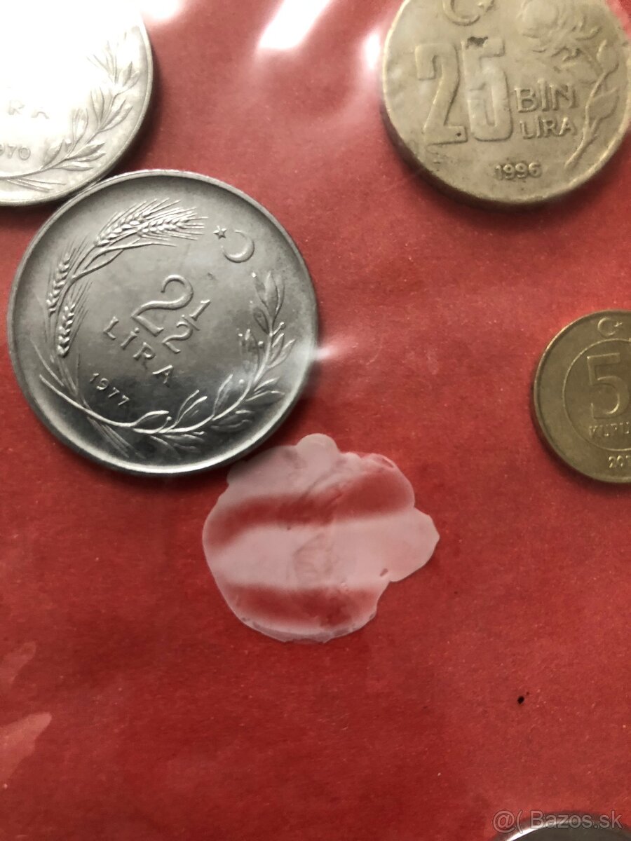 Mince Turecko - 6