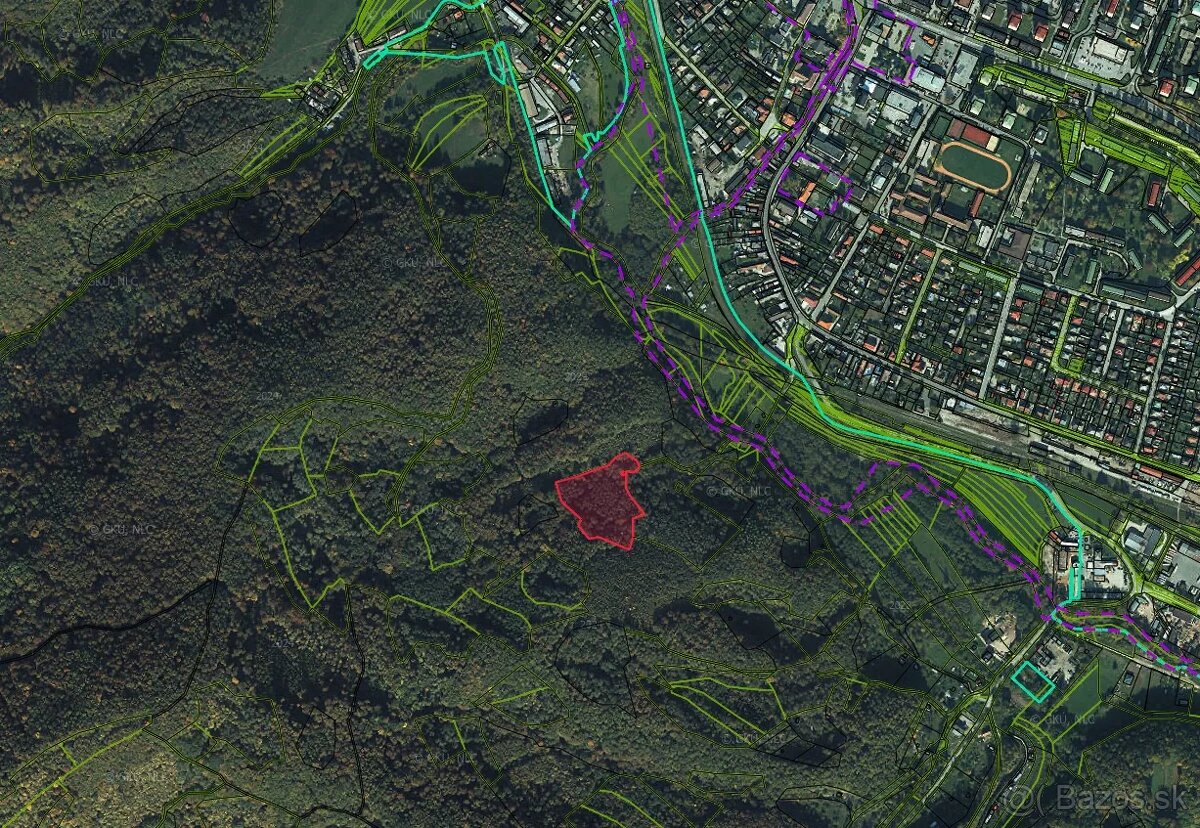 Revúca – 2.479 m2 LES – PREDAJ - 6
