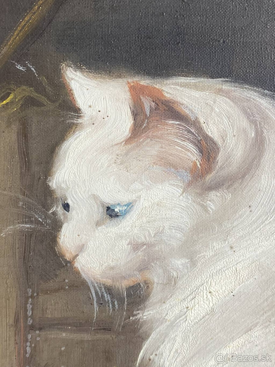 Obraz Mačky olej na plátne - 6