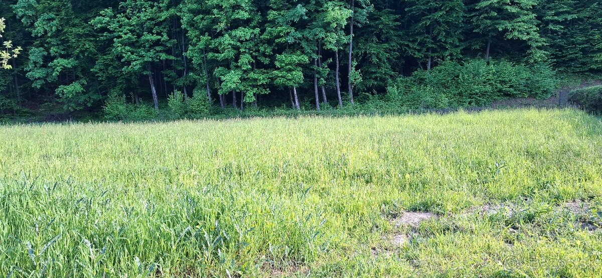 Stavebný pozemok pod lesom - ul. Jesenského - 6