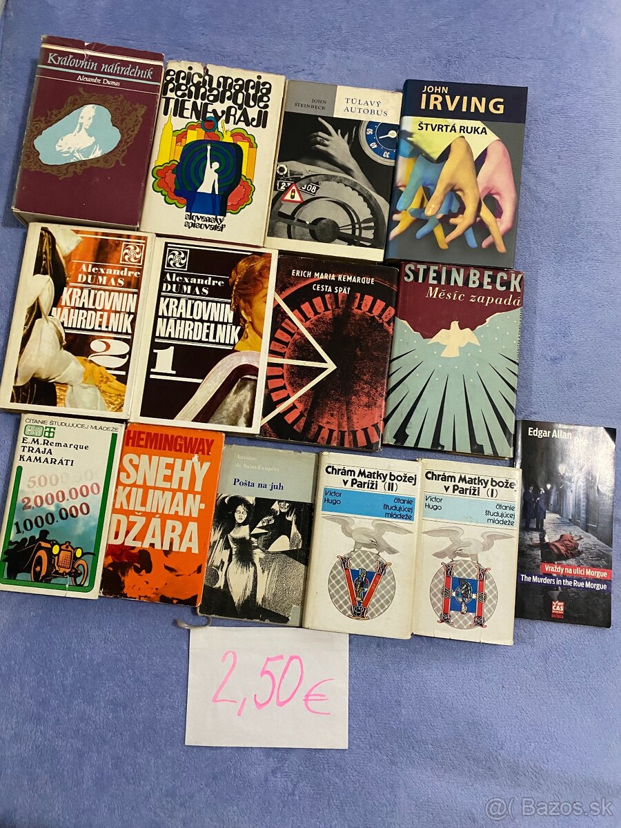 Knihy, slovníky, encyklopédie, učebnice... - 6