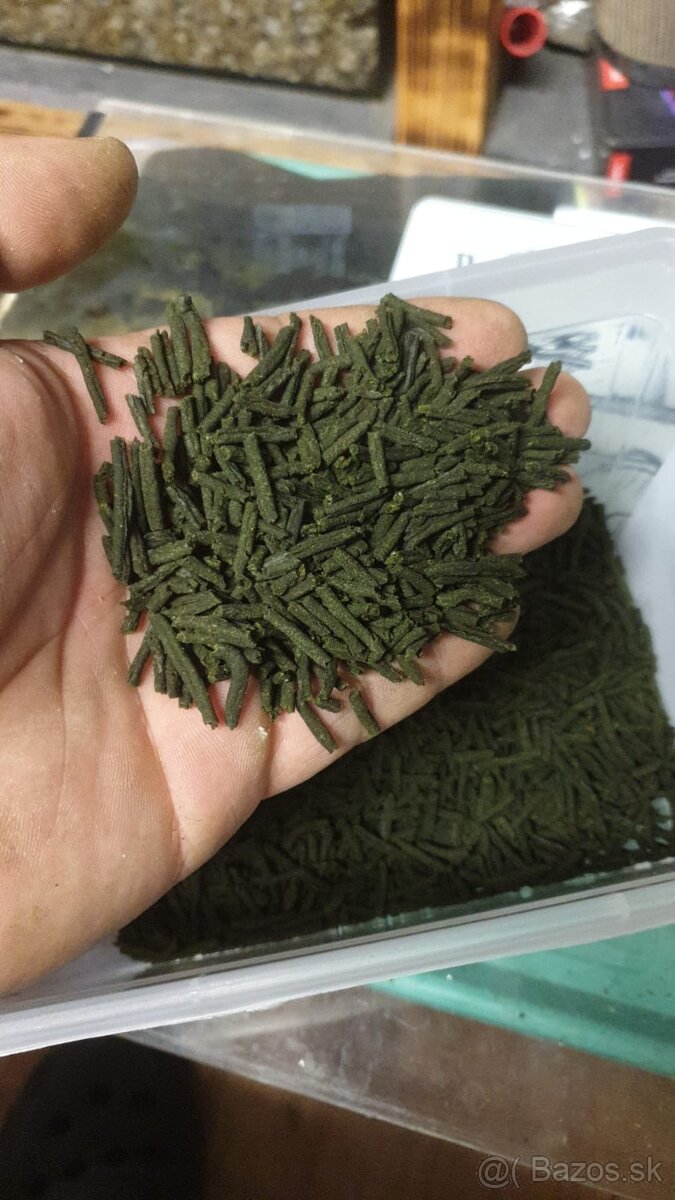 Farebný mix kreviet Neocaridina (Skittles) - Pošlem Zadarmo - 6