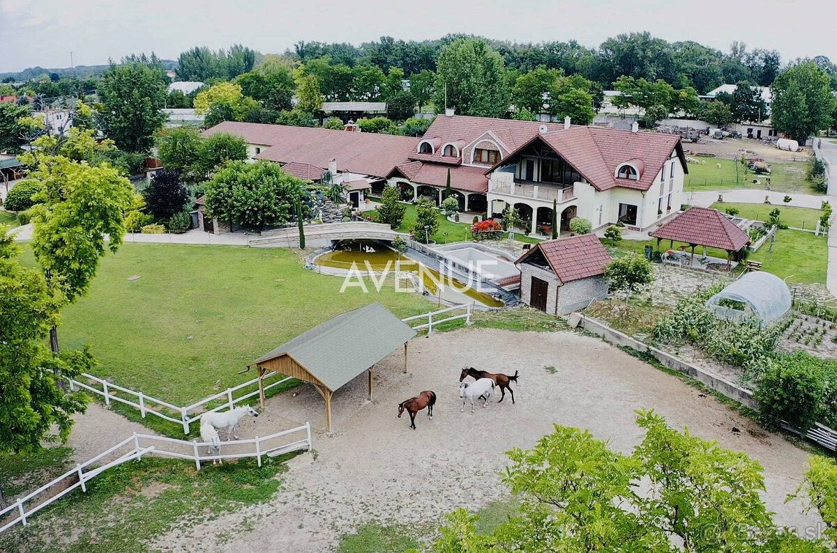 AVENUE I PREDAJ, exkluzívna rodinná usadlosť s jazierkom,Dun - 6