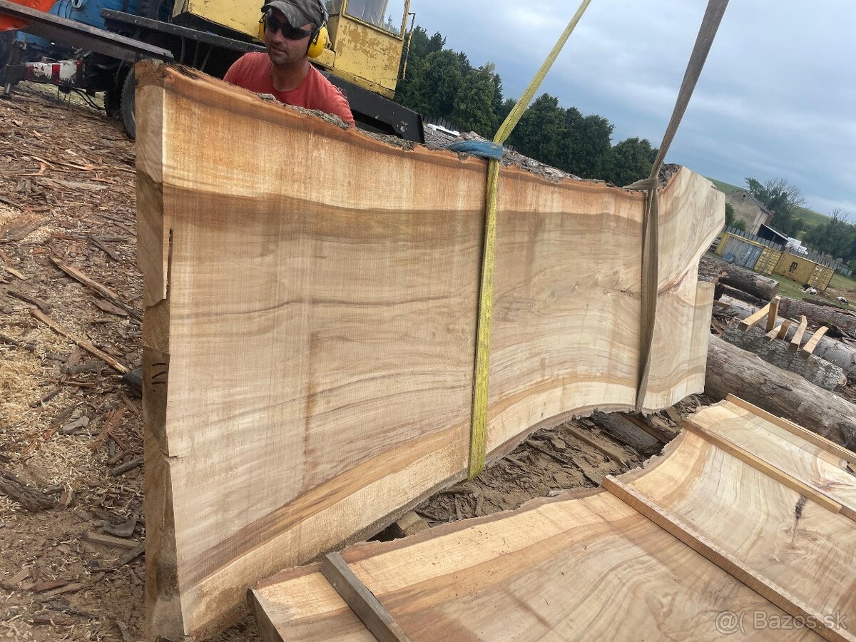 Nadrozmerné topolove rezivo fošne drevo - 6