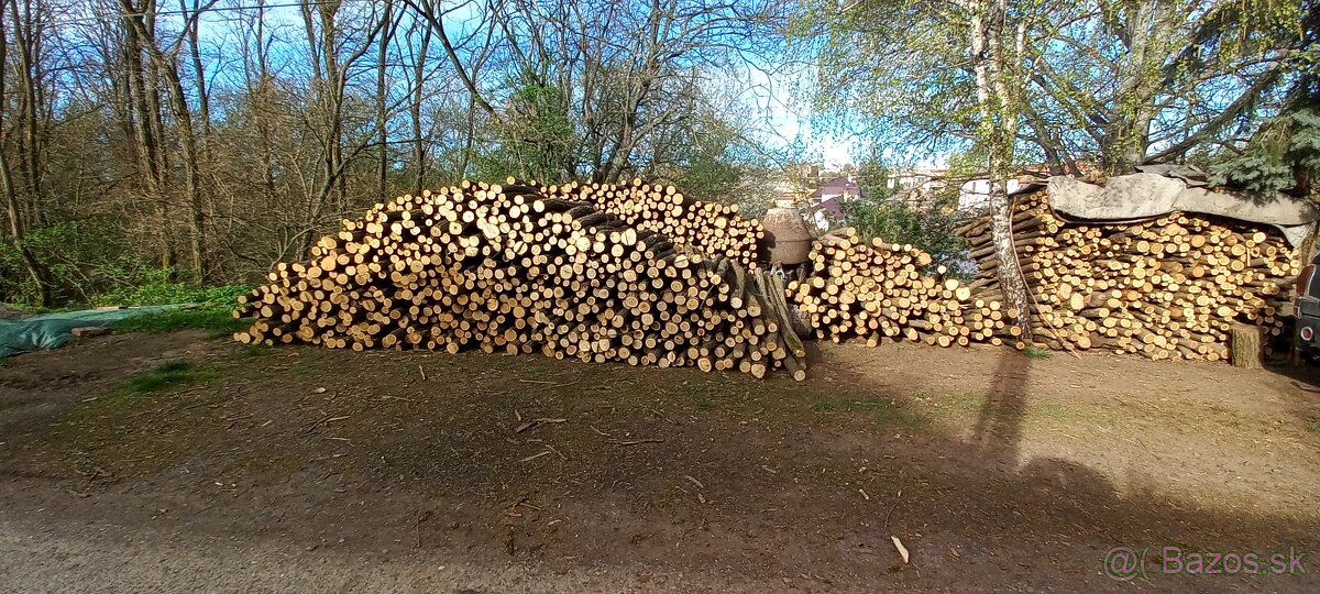 Predam agatove koly stlpy zrde - 6