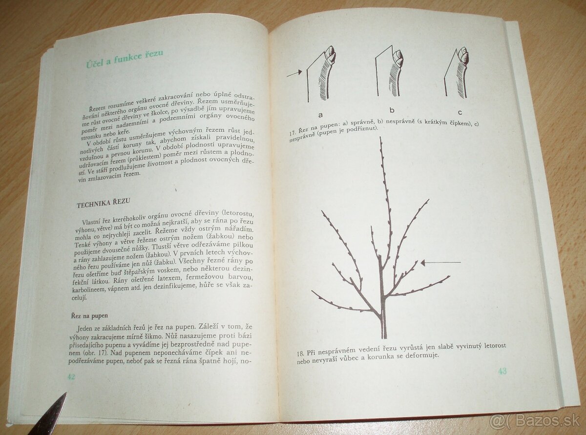 Řez ovoných dřevin - 6