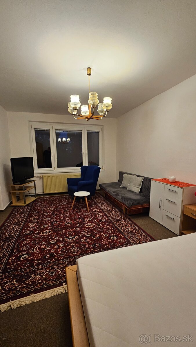 TOP PONUKA 1 izbovy Rub II - 6