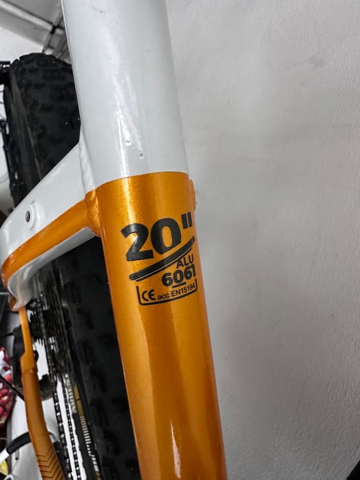 Ptredam e-bike Crussis - 6