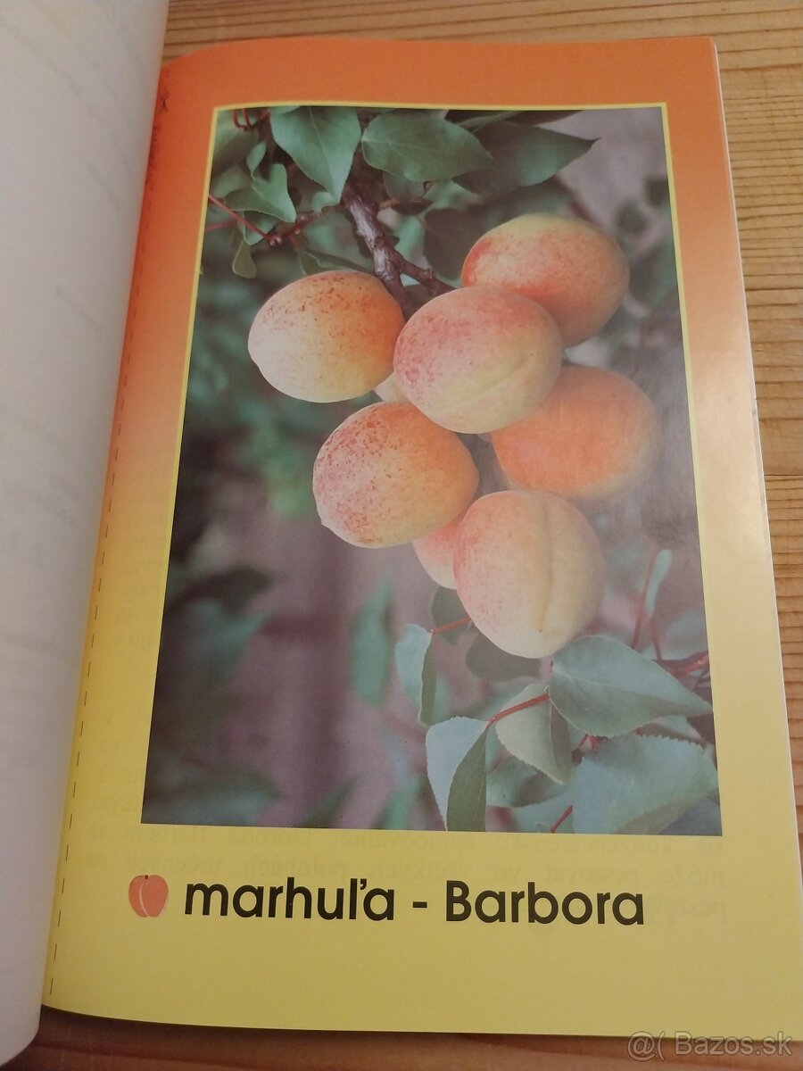 Poradca záhradkára 25 - 6