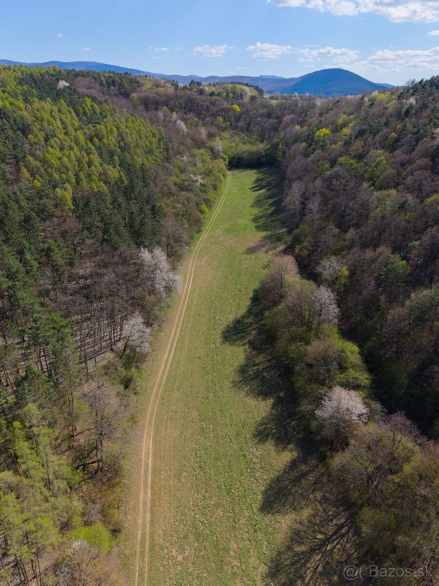 PREDAJ: Pozemok v obci Beckov - 6