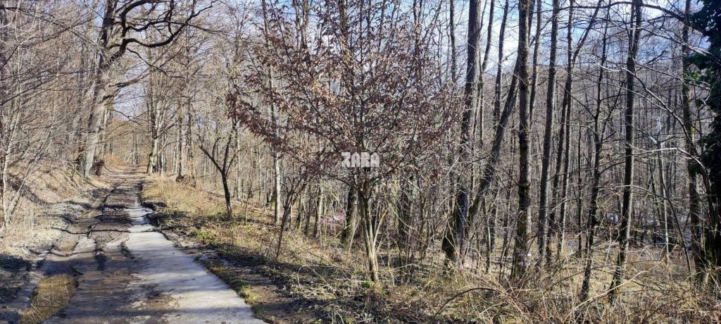 ŠUGOV-ŠUGOVSKÁ DOLINA, INVESTIČNÝ veľkorysý pozemok 3716 m2. - 6