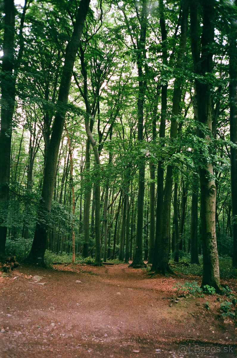 Olympus mju I + Ilford 400 - 6