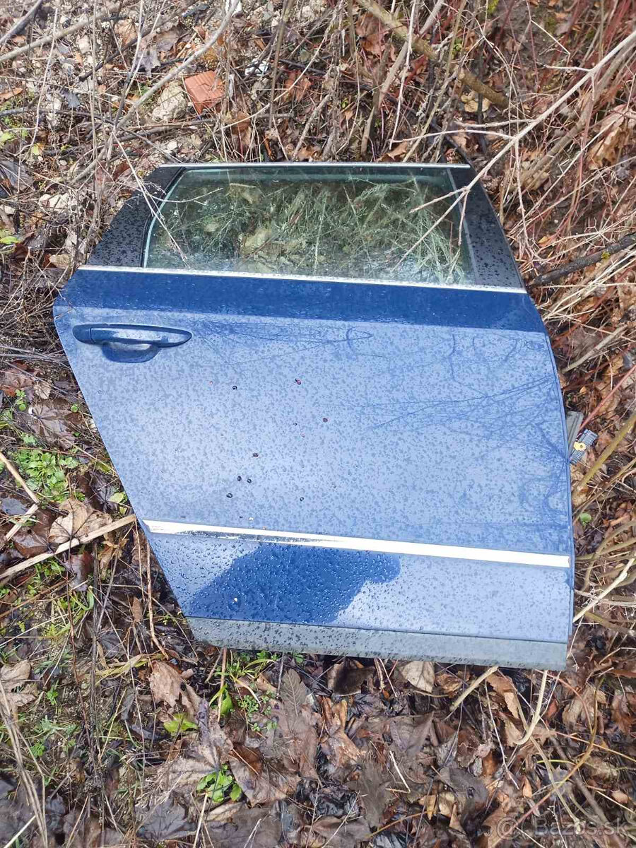 Dvere VW Passat b6 - 6