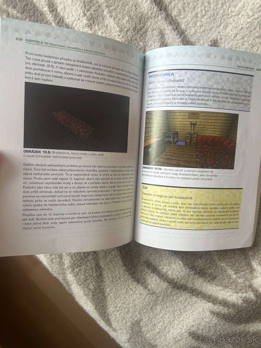 Kniha Minecraft vydoluj maximum - 6