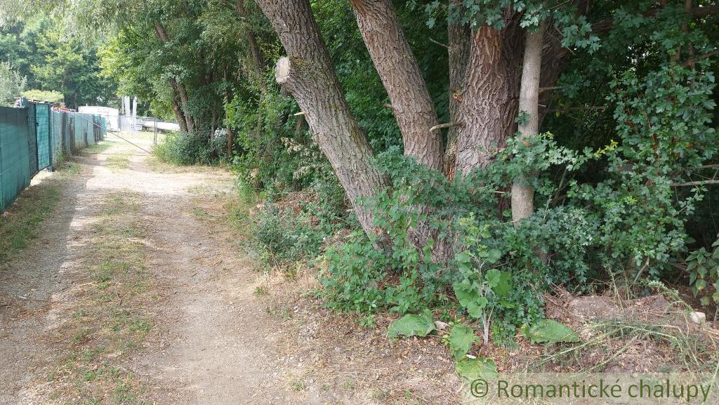 Záhrada pri lesíku na predaj Holíč - 6