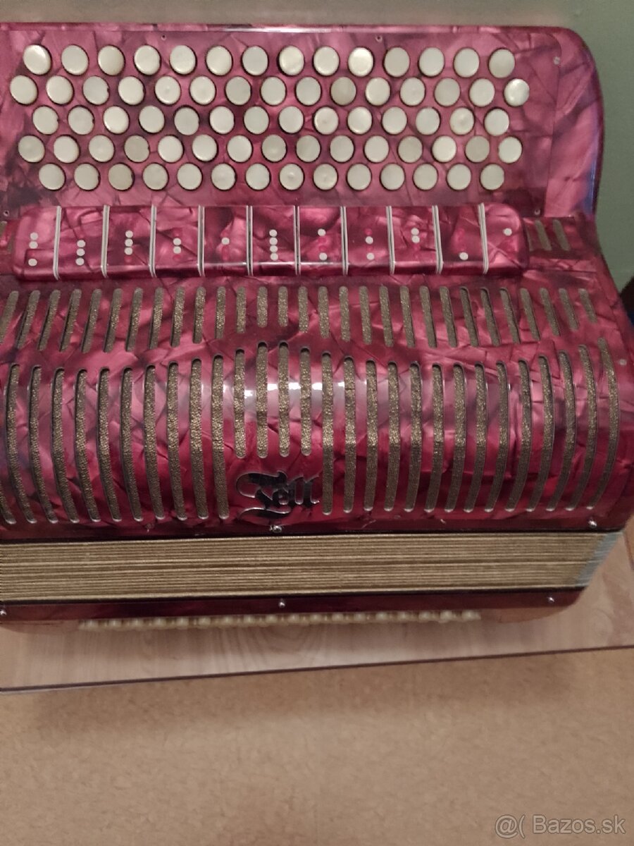 Akordeón,Harmonika - 6