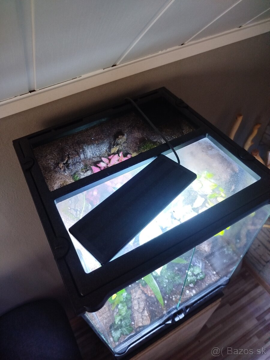 Terarium Exo Tetra - 6