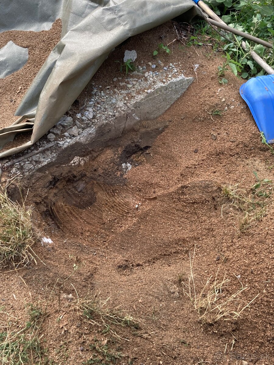 Likvidácia pňov frézovaním - frézovanie pňov - 6