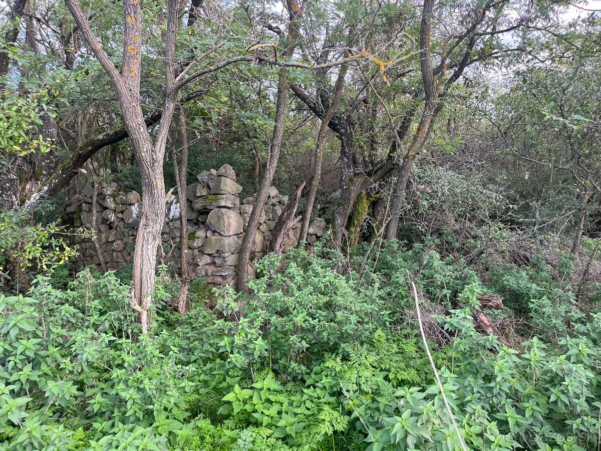 Pozemok s ruinami domu na samote - 6