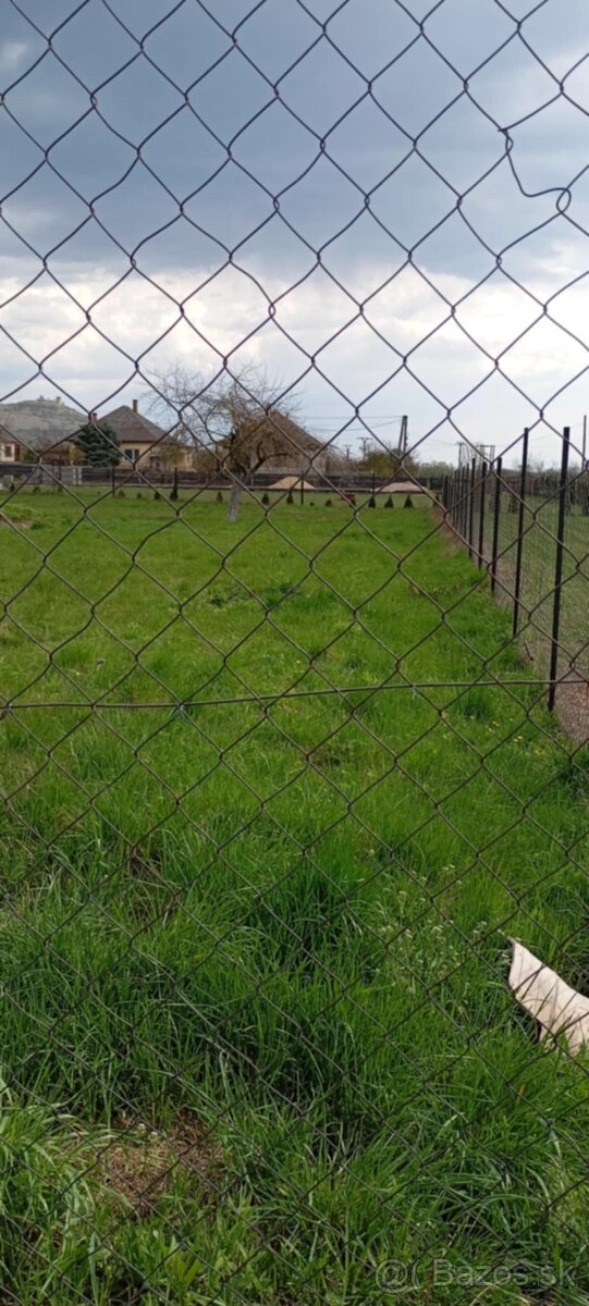 Pozemky v obci Dvorníky - 6