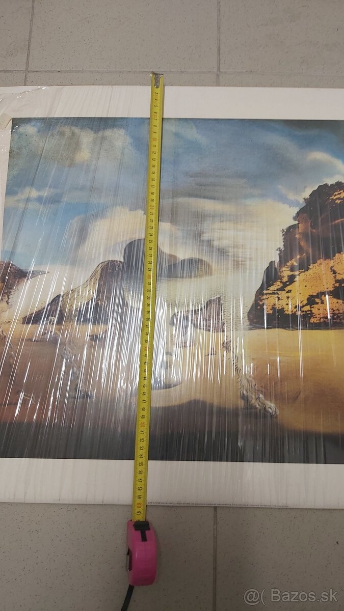 Foto na kartóne Salvator Dalí 80x60cm - 6