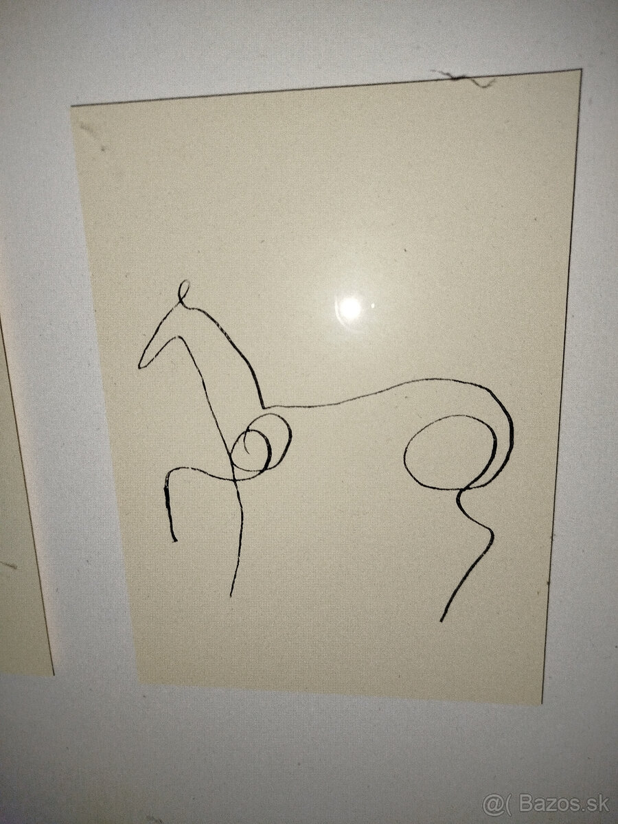 Picasso - Tlač - 6