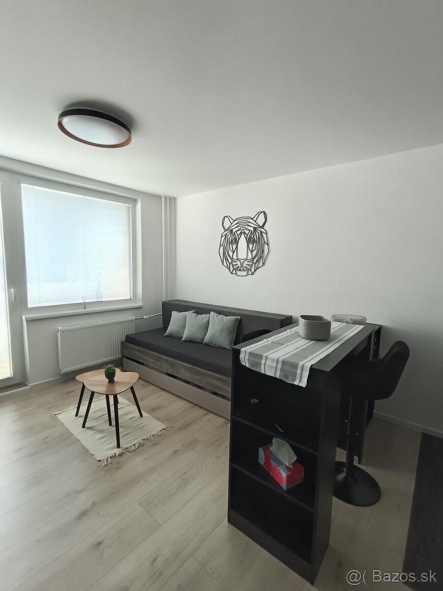 Garsónka na prenájom - 6
