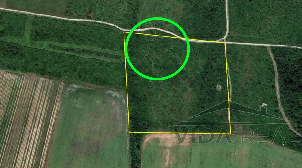 Pozemok v Modre s výmerou až 5.666 m2 - 6