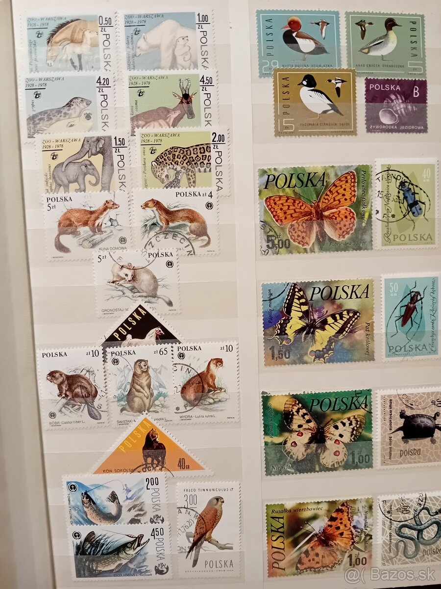 Známky Polsko v albume - 6